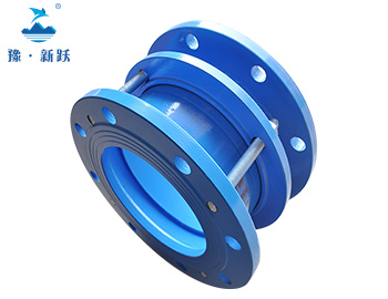 S313�ܵ���s��